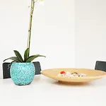 リゾート Villaggio Le Palme 3*