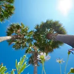Villaggio Le Palme アシェーア